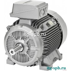 Двигатель самовентилируемый Siemens 1LE1501-2DB69-0AB4-ZD31+D40+D47+L22+M10+M1Y+Y84