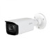 IPC-HFW2531T-AS-S2