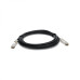 Extreme Networks 1.6FT QSFP+ 10311