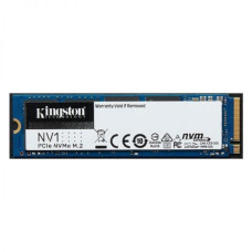 Kingston NV1