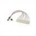 Other Neutral-AMPOM-0.35M-24LC-G.652D-24C-0.9mm-FO0.35-L