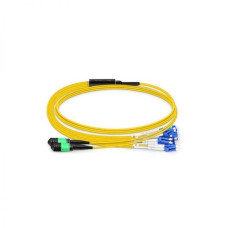 Neutral-2AMPOF-1M-12LC(D)-G.652D-24C-3R/2R-A-FO0.6-L