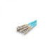 Other Neutral-2MPOM-1M-12LC(D)-OM3-24C-3R/2R-A-FO0.6-L