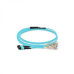 Other Neutral-2MPOM-1M-12LC(D)-OM3-24C-3R/2R-A-FO0.6-L