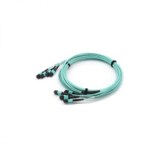 Neutral-4MPOF-1M-4MPOF-OM3-48C(4*12)-R/3R-A-FO0.5-L