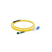 Other Neutral-AMPOF-1M-6LC(D)-G.652D-12C-3R/2R-A-FO0.6-L
