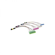 Neutral-AMPOM-0.35M-24LC-G.652D-24C-0.9mm-FO0.35-L