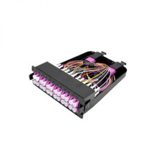 Neutral-MPO-24C-TC-OM4