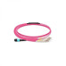 Other Neutral-MPOF-1M-6LC(D)-OM4-12C-3R/2R-B-FO0.6-L