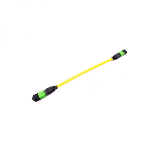 Other Neutral-MPOF-1M-MPOF-G.652D-12C-F-A-L