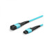Other Neutral-MPOF-1M-MPOF-OM3-12C-3R-B-L