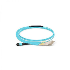 Neutral-MPOM-1M-6LC(D)-OM3-12C-3R/2R-A-FO0.6-L