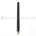 AIR-ANT2524DB-R